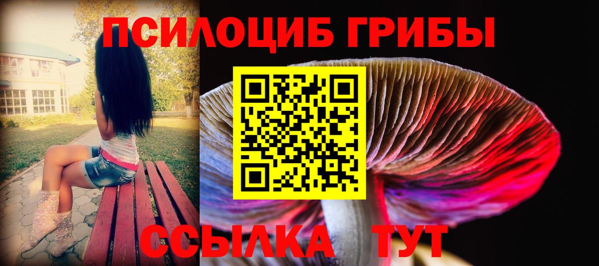 Псилоцибиновые грибы Psilocybine cubensis Реутов