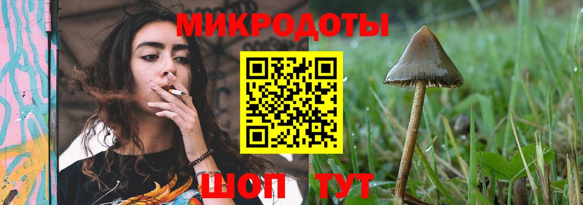 Псилоцибиновые грибы GOLDEN TEACHER  купить   Реутов  Псилоцибиновые грибы GOLDEN TEACHER  Вход с VPN 